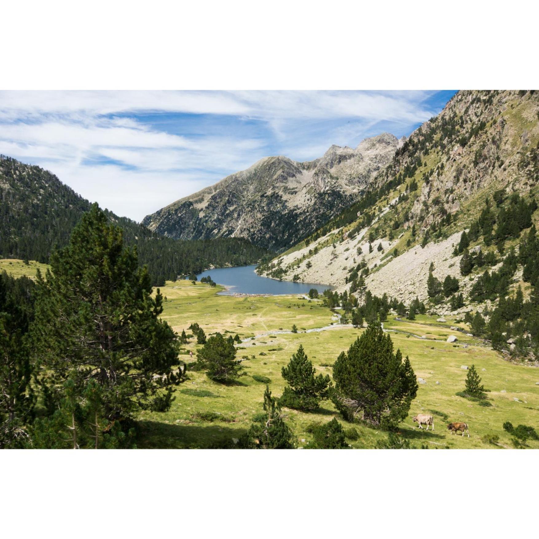 Charmant T3 Avec Vue Montagne Et Parking Privatif Font-Romeu-Odeillo-Via Exterior photo